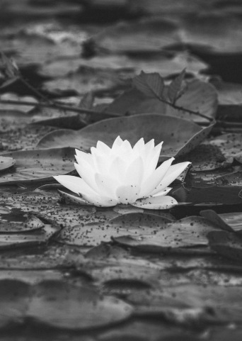  Meditation TM Seminar Familie