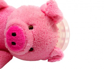 Pacimal Schnuller mit Kuscheltier Schweinchen