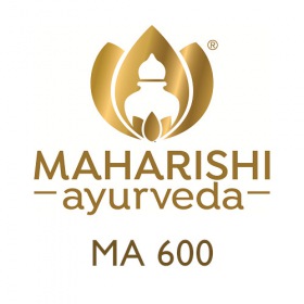 MA 600 Ayurvedisches Eisenrasayana